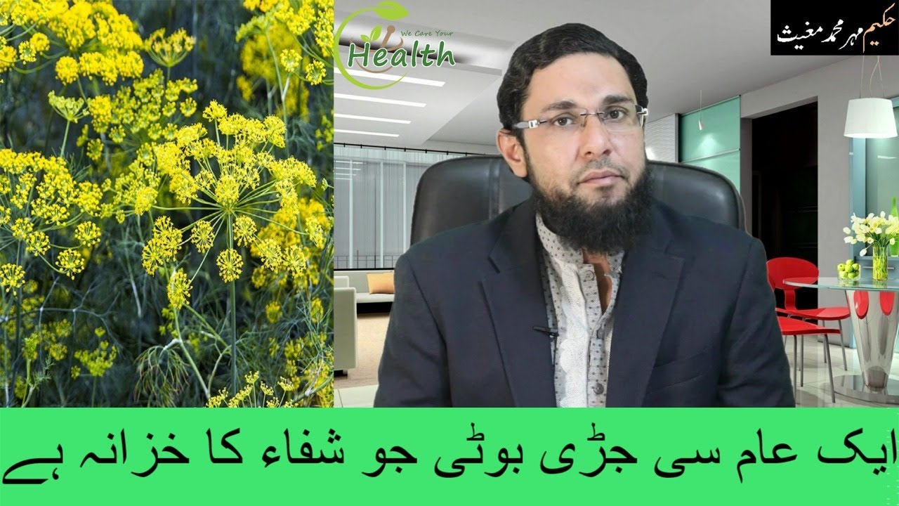 fennel seeds benefits/fennel seeds benefits in urdu/hindi/sounaf ke