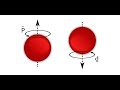 Quantum Spin and The Tangles of Reality