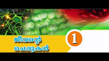 6th Standard SCERT Basic Science Text Book | Chapter 1|Kerala PSC Important Points