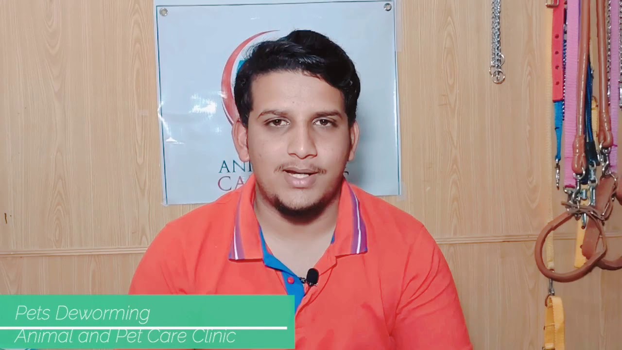 Pets Deworming In Urdu YouTube