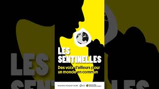 Les Sentinelles - La liberté de la presse, bande annonce