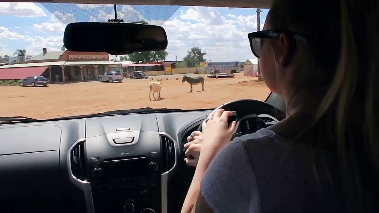 Video Assignment - Nursing in the Wider Community