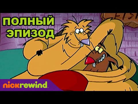 Крутые бобры | 5 Cезон 1 Cерия | Nick Rewind Россия
