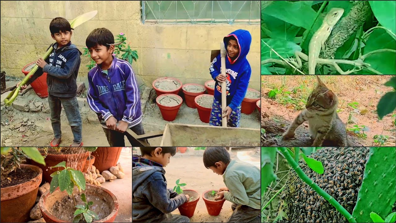 My first vlog video viral 