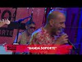 Rbol toca la cancin de banda soporte en vivo