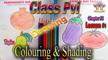 2nd TERM PVI DRAWING LESSON # 01 CHAPTER # 02  TOPIC: COLOURING & SHADING