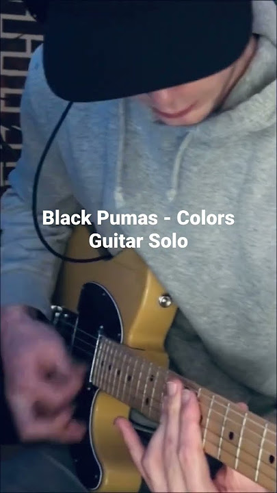 Colors - Black pumas guitarsolo #colors #blackpumas #gitarren #guitarra #rock #music #electric