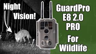 Discovering The Wildlife In My Garden With The Guardpro E8 2.0 Pro