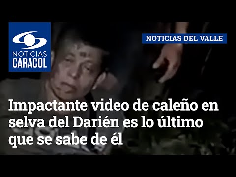 Impactante video de caleño en selva del Darién es lo último que se sabe de él: ¿qué le pasó?