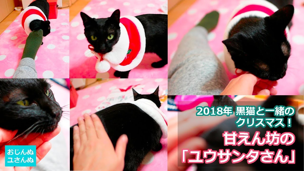 クリスマス★黒猫ちゃんプレゼント クリスマス☆黒猫ちゃんプレゼント