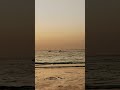 #dubai #beach #beachvibes #beachlife #beachride #aa23