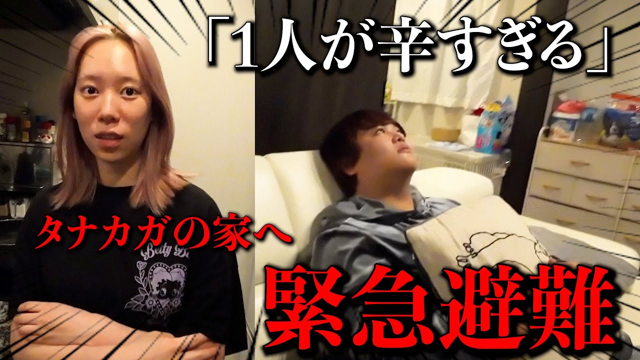 我慢ができなかったので、急遽相方の家に突撃することにしました。