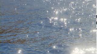 Blender 2.8 EEVEE Ocean Blender 2.8 EEVEE Ocean