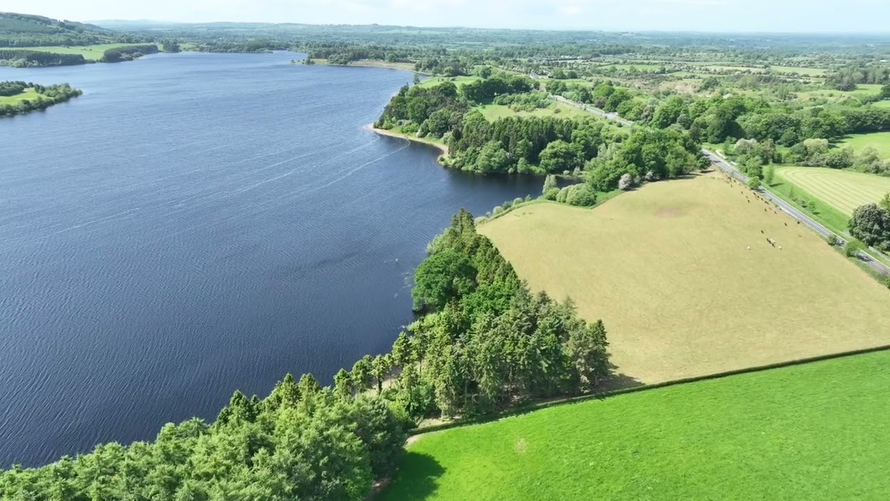 Beautiful Morning at the Lake near Blessington ...