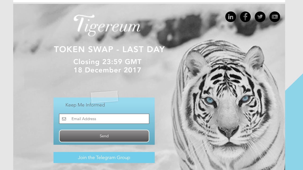 Tigereum новое решение для отправки денег путем мгновенного сообщения