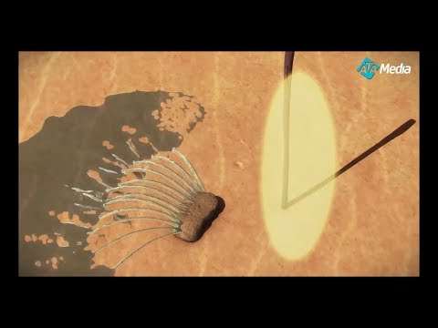 لحظه انفجار 12 عين من الحجر الذي ضربه سيدنا موسي