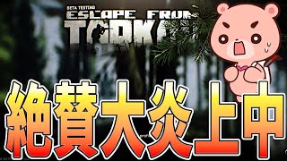 【タルコフ】いよいよ初フリマ解放なのにお前らは炎上か『Escape from Tarkov』【#モモクマライブ】