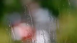 Müəllifdəniz Sahil, Səsləndirdiaynur Qənbərova