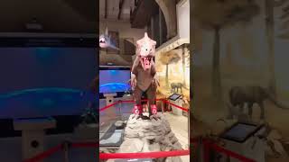Geoscience museum  gwalior ☺