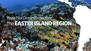 Easter Island Marine Park's Stunning Sea Life