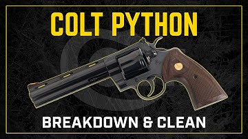 Gun Cleaning 101: Colt Python