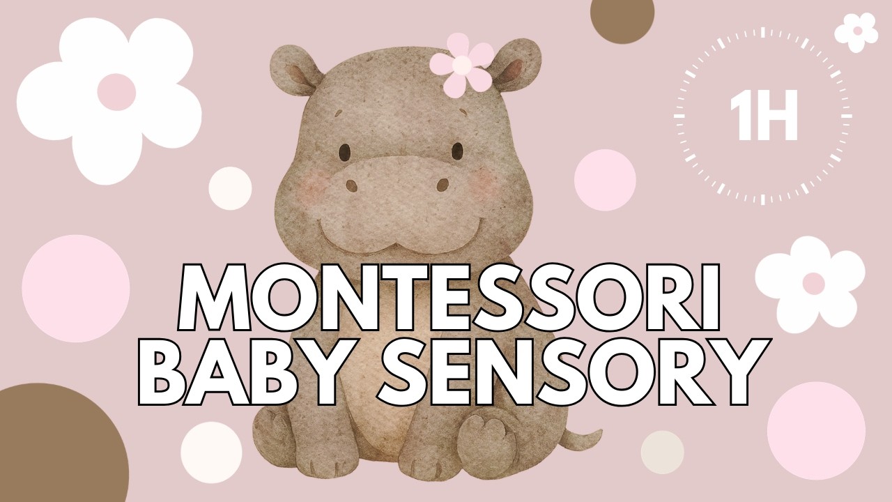 Montessori Sensory Background ☀️ Morning Calm Music  | Aesthetic Visuals | 1 HOUR