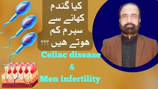 Celiac disease and male infertility in URDU HINDI | گلوٹین عدم رواداری اور سپرم کا معیار اور مقدار