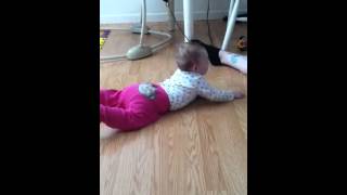 lilys first crawl