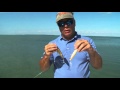 Yo-Zuri Topwater Lures