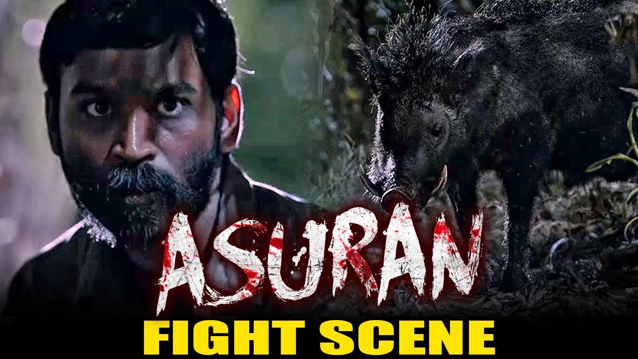 Asuran Best Scene | Dhanush | Pig Fight Scene | Asuran In Hindi | National Award |