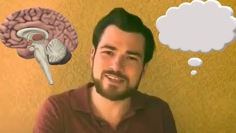 Language and Thought - Controversial conundrums and linguistic relativity