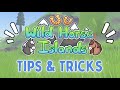 Top 5 *TIPS & TRICKS* Every Wild Horse Islands Player Should Know