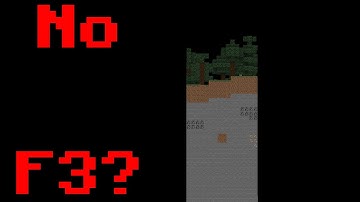 The Stupidest Way to Find Chunk Borders in Minecraft