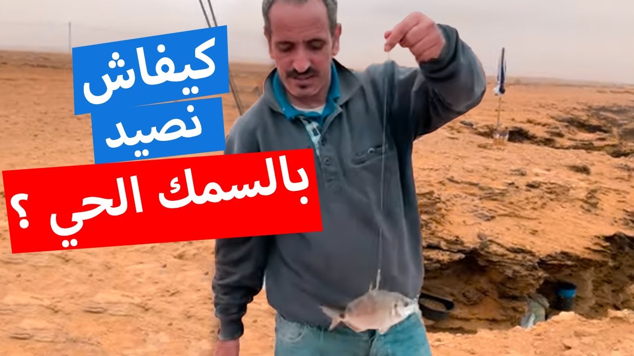 تقنية الصيد بالسمك الحي