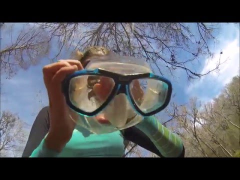 How To Freedive