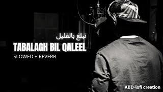 Tabalagh Bil Qaleel - تبلغ بالقليل (Slowed + Reverb) | Vocals only - without music" by Osama Al Safi