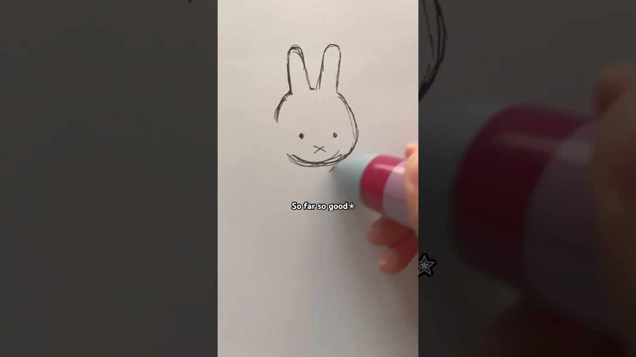 Omg miffy looks so cute 