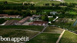 How a Rare French Wine Dominated the Chinese Market | Red Obsession