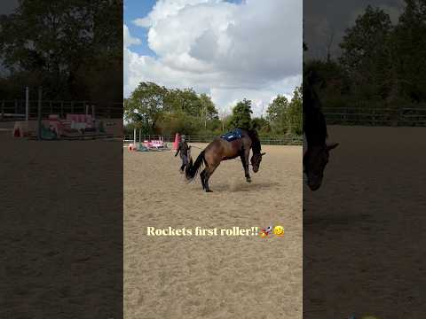 Have I got myself a bronc horse?! 🫣😳