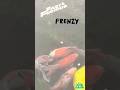 Fish Frenzy Mode: Activated!! Awesome Fast and Furious Fun