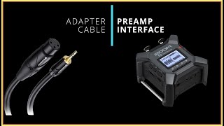 Pro Mic to Mirrorless Camera: Adapter Cables vs. Preamp