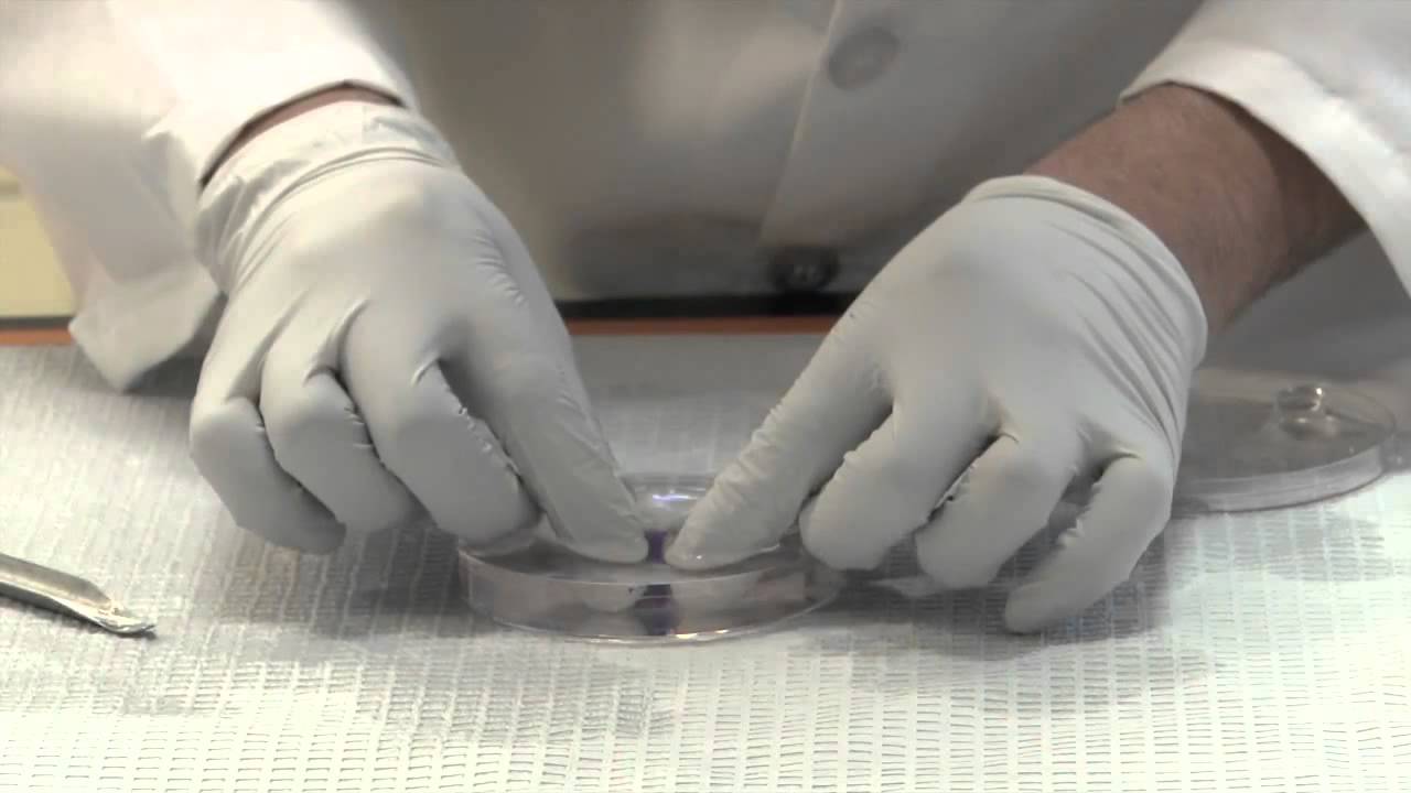 Smart, Self Healing Hydrogel Developed by UC San Diego Bioengineers