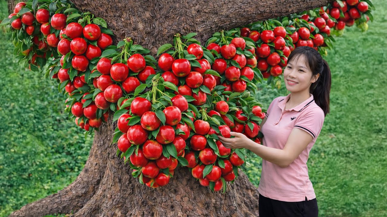 Harvesting Giant Red Apples & Selling at the Local Market | Simple Rural Girl Life