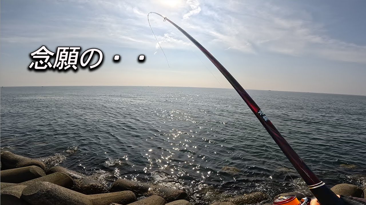 グレ釣りしてたら、ついに3年越しの願いが叶いました。