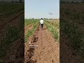 Farming Life #agriculture #life #world #future #farming
