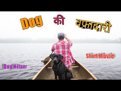 वीडियो: वफ़ादारी के बारे में