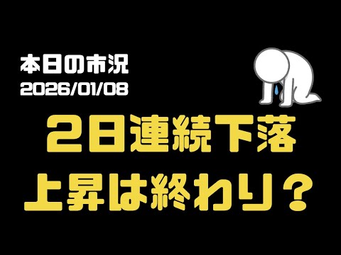 【本日の市況】２日連続で下落！押し目？暴落の始まり？｜1月8日