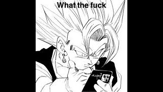 Ber And Broly Potara Fusion