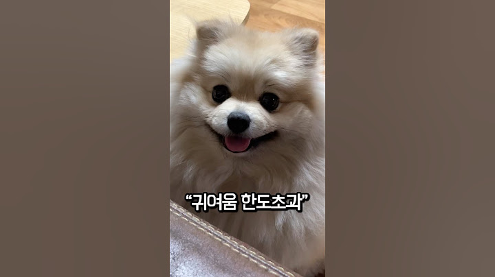 한쪽만 움직이는 귀여운 귀🐻 #귀여운강아지 #funny #강아지쇼츠 #shorts