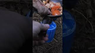 (How NOT To Use A Camping Stove !!!) Not Everything Goes To Plan ! Cooking-Wild Camping !!! #Shorts